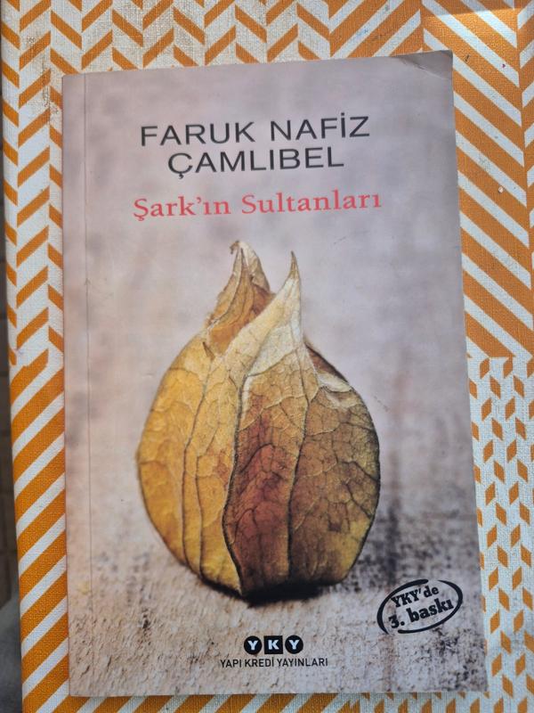 Şarkın sultanları kapak görseli